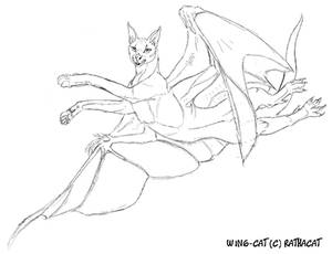 Wing-cat sketches