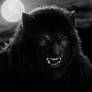 Rick Baker Werewolf Tribute
