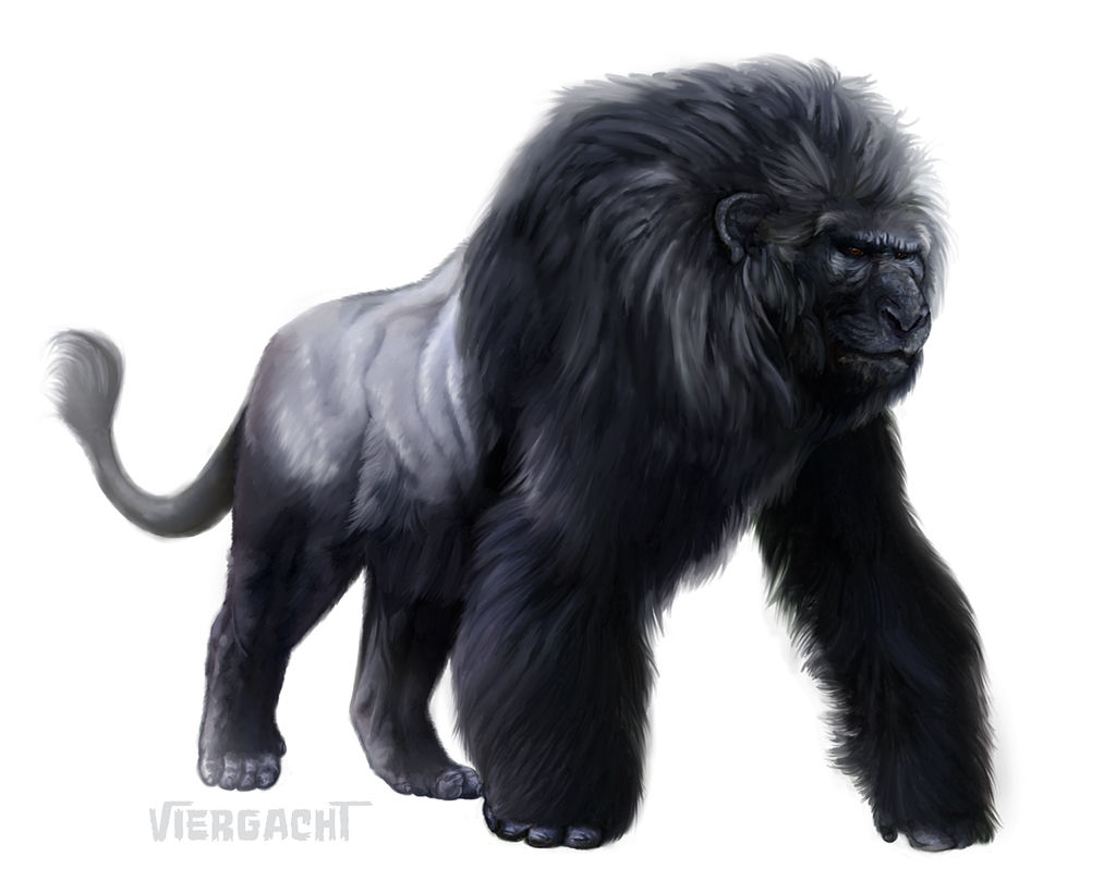 Gorilleo by Viergacht