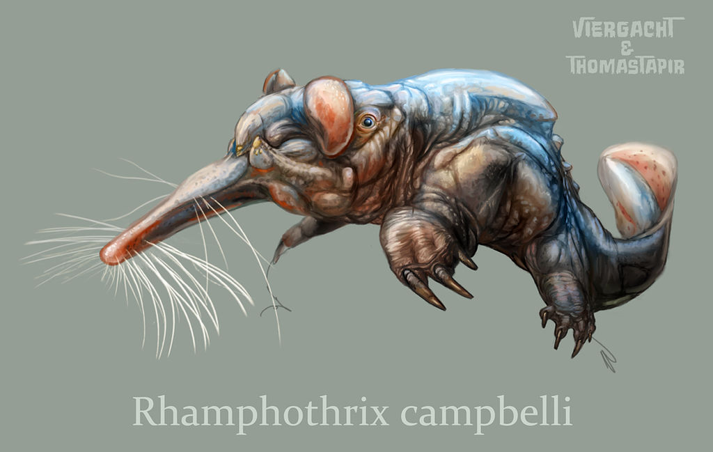 Rhamphothrix - Future Feline by Viergacht