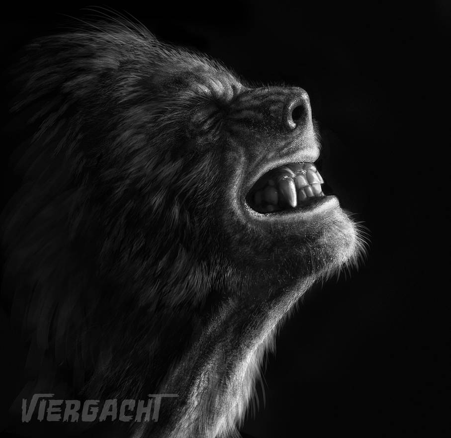 Werewolf Brush Test by Viergacht on DeviantArt