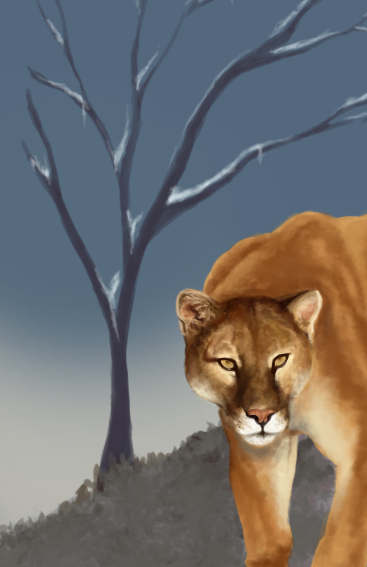 Andes' King WIP