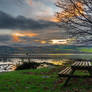 Park Bench on the Clyde