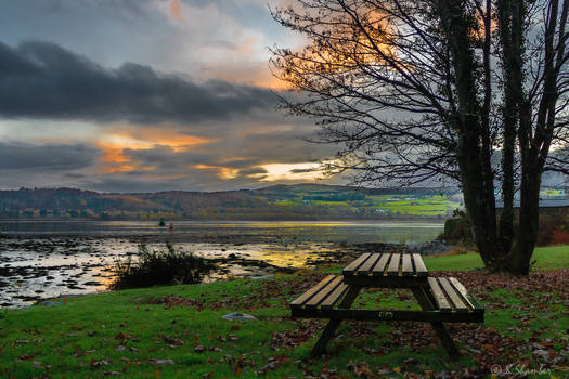 Park Bench on the Clyde