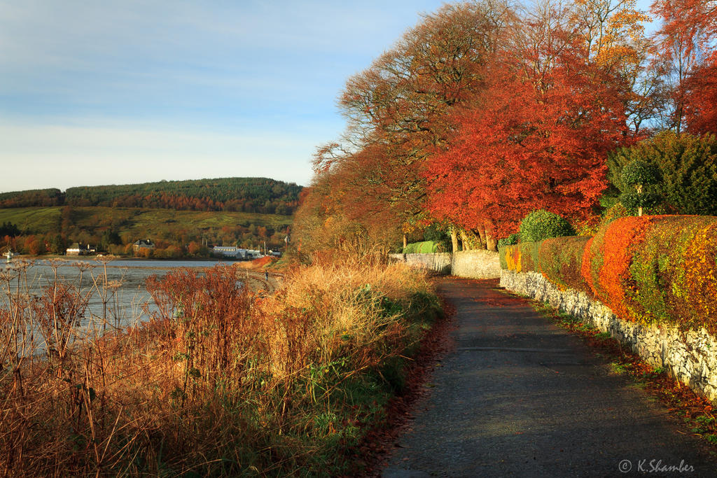 Fall Path