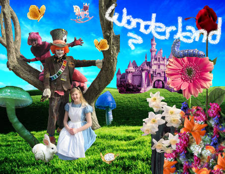 Wonderful Wonderland