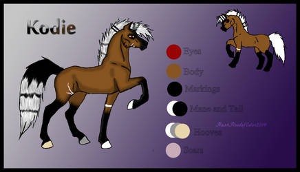 Kodie - Reference Sheet