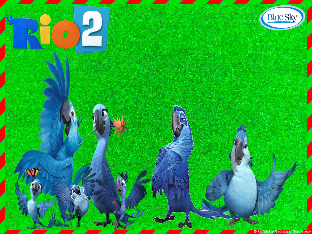 Rio 2 Wallpapers by eidiriririr on DeviantArt