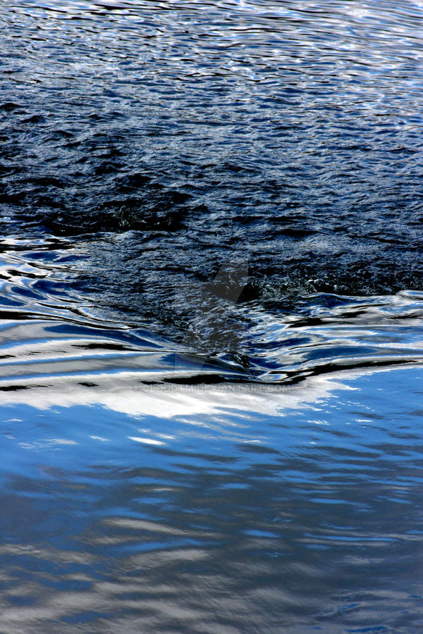 Invisible duck by cloudtm on DeviantArt