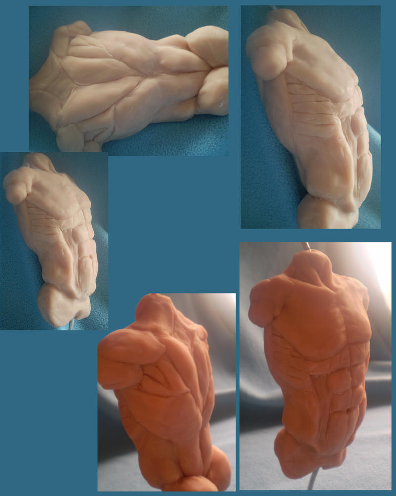 Sculpy Torso by dyphos on DeviantArt