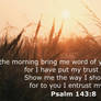 Bible Verse of Today - Psalm 143:8