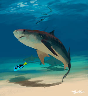 Tiger Shark