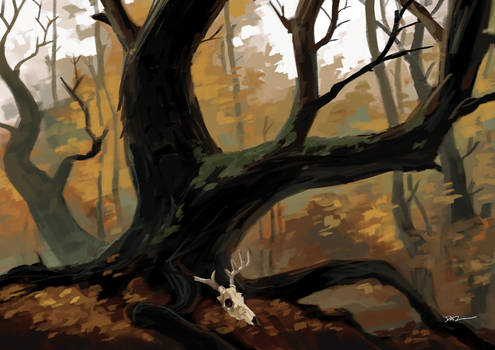 Forest Study