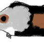 PC - Guinea pig