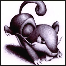 019 - Rattata