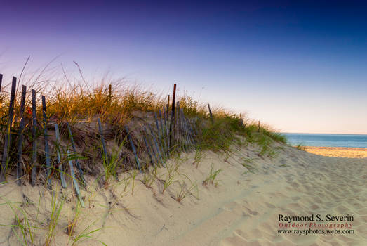 Forgotten Dunes