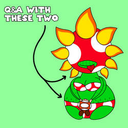 Q and A With Peteya and Todd