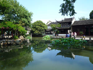 Chinese garden-7