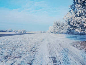 Winter photo (16)
