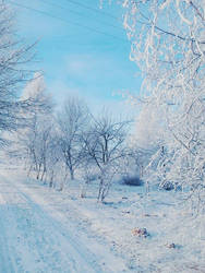 Winter photo (21)