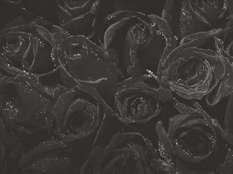 black roses