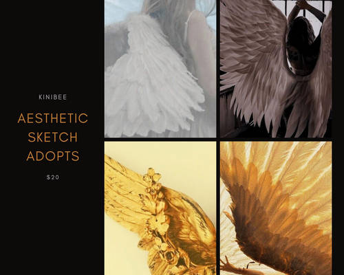 Angelic Fantasy Aesthetic Sketch Adopts [closed]