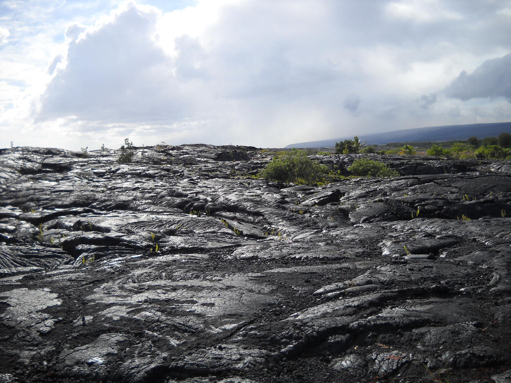 Kalapana 4