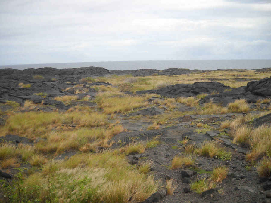 Lava Plain 11 by eliatra-stock