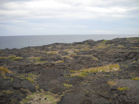 Lava Plain 14