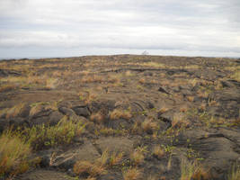Lava Plain 19