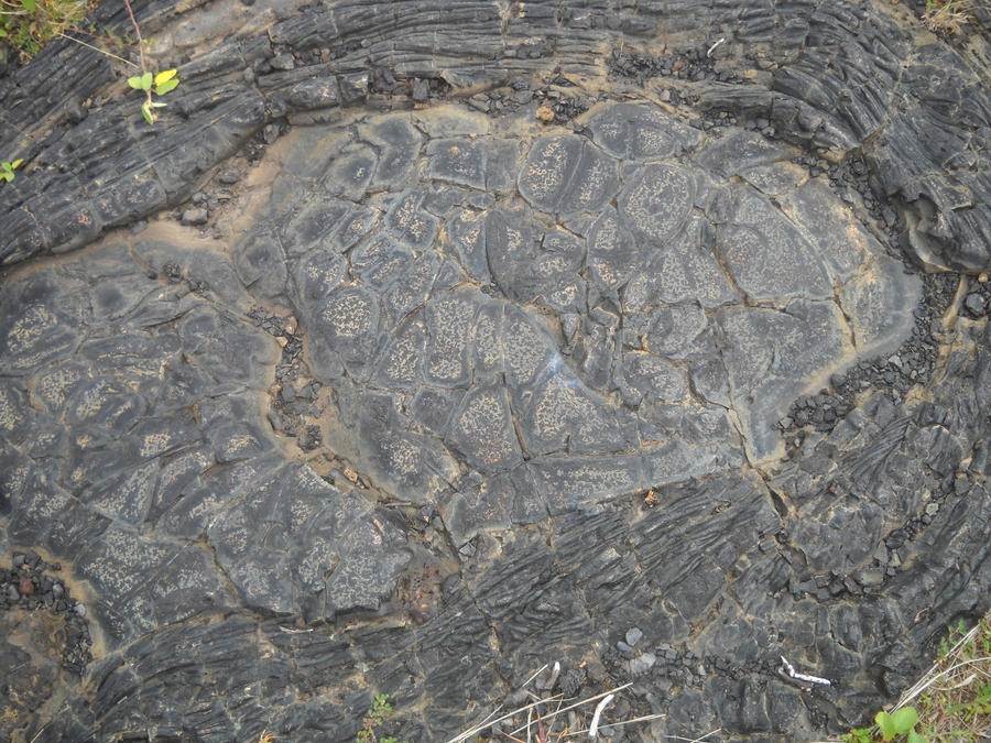 Lava Crack Texture 1