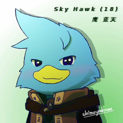 Sky Hawk Profile Pic #1