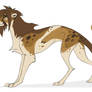 cheetah adopt OPEN