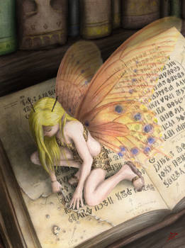 Library fairy