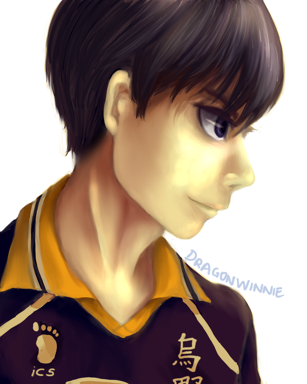 Kageyama Tobio Haikyu!! vol 25 cover art redraw