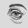 Anatomia del ojo (practicando)