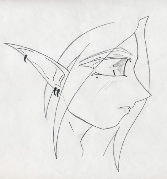 elf profile by that-steve-guy on DeviantArt