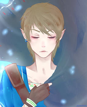 Link