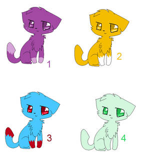 Cat Adoptables