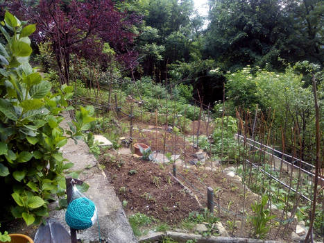 Vegetable Garden, left side