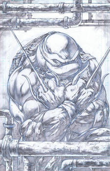 TMNT Raphael