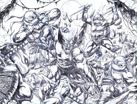 TMNT vs Wolverine