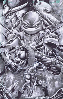 TMNT Poster 3