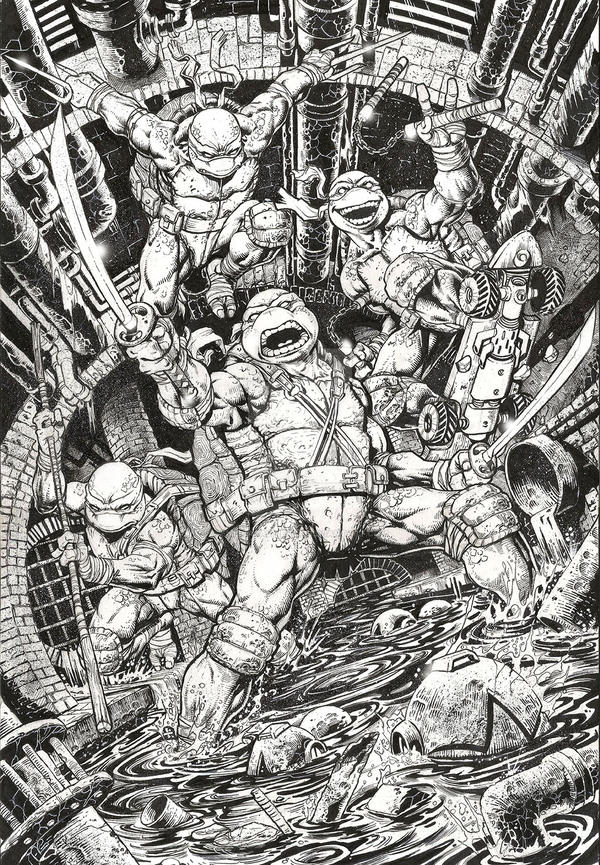 Teenage Mutant Ninja Turtles for Nickelodeon