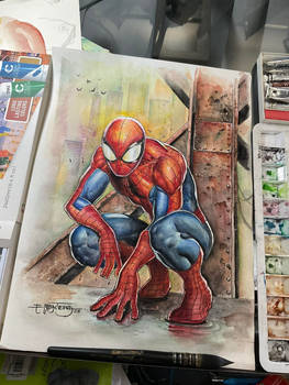 Amazing Spiderman