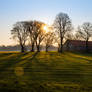 Morning sun