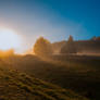 Beautiful sun
