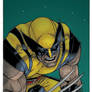 Wolverine By Steven Mcniven