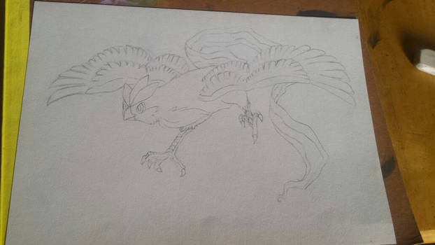 articuno sketch