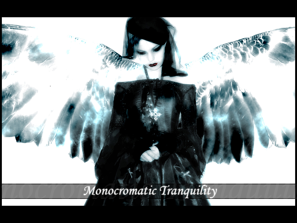 Monocromatic Tranquility